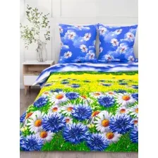 2-спальный комплект постельного белья Василиса Delight 2сп 70x70 4268/1