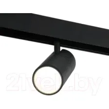 Трековый светильник Elektrostandard Slim Magnetic R02 85012/01