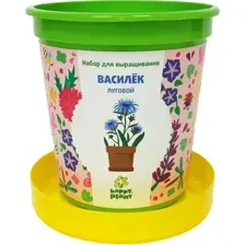 Набор для опытов Happy plant Василек луговой hpn-28