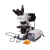 Микроскоп Levenhuk MED PRO 600 Fluo 73383