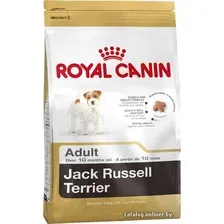 Сухой корм для собак Royal Canin Jack Russell Adult 0.5 кг