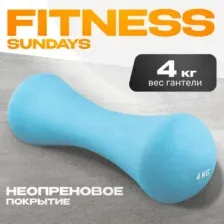 Гантель Sundays Fitness IR92004-D (4кг, голубой)
