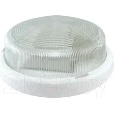 Светильник ЖКХ TDM SQ0311-0013
