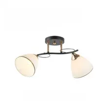 Потолочный светильник Mirastyle WX-6395/2 BK+FG
