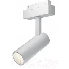 Точечный светильник Maytoni TR019-2-10W3K-W