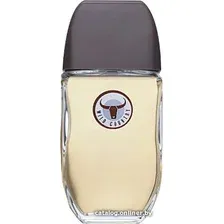 Туалетная вода Avon Wild Country EdT (75 мл)