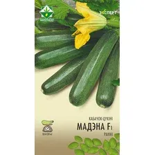 Семена МинскСортСемОвощ Кабачок. Модена Эксперт F1 (6шт)