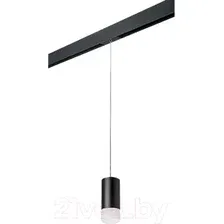 Трековый светильник Lightstar Rullo PRORP43731