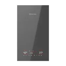 Газовый котел Thermex Antares F24