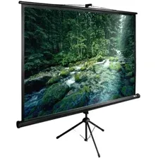 Экран CACTUS TriExpert CS-PSTE-220X165-BK