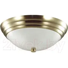 Потолочный светильник Lumion Kayla 5262/2C