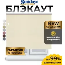 Рулонная штора Sundays Home LM 168-03 100x160 (молочный)