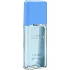 Туалетная вода Positive Parfum Kaizen L'eau Par Pour Homme (95мл)