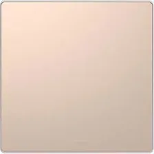 Клавиша для выключателя Schneider Electric Merten D-Life MTN3300-6051 (шампань)