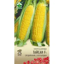 Семена МинскСортСемОвощ Кукуруза. Тайсон Эксперт сахарная F1 (3г)