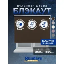 Рулонные шторы Sundays Home LM 168-09 260x180 (коричневый)