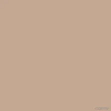 Фон для съемки Falcon Eyes BackDrop (2.72x10 м, бежевый)