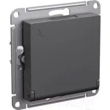 Розетка Systeme Electric AtlasDesign ATN001446