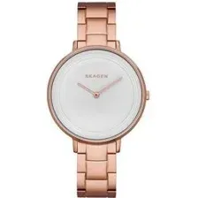 Наручные часы Skagen SKW2331