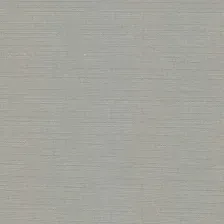Мини рулонные шторы Эскар 62x170 310200621701 (серый)