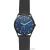 Наручные часы Skagen SKW6450