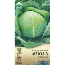 Капуста б/к Агрессор F1 12шт (Эксперт)