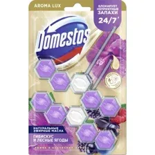 Средство для унитаза Domestos Power 5 Сказочный аромат Дуо 2x50 г