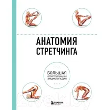 Нехудожественная книга Эксмо Анатомия стретчинга
