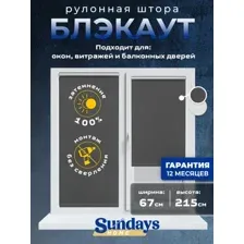 Рулонная штора Sundays Home LM 167-07 67х215 (темно-серый)