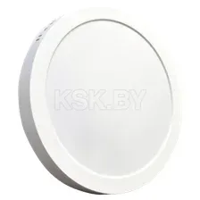 Светильник TruEnergy 10107