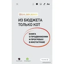  АСТ. Из бюджета только кот. Книга о продвижении и прогревах в инстаграме (Сабылинская Оля)