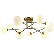 Люстра Evoluce SLE2211-302-09