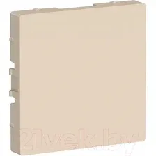 Декоративная заглушка для розетки Systeme (Schneider) Electric AtlasDesign ATN000209