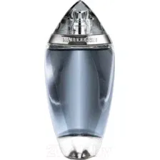 Парфюмерная вода Mauboussin Pour Homme (100мл)