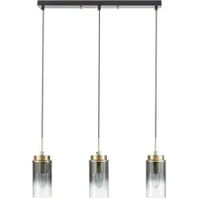 Подвесная люстра Lumion Comfi Isha 8101/3A