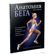 Анатомия бега