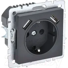Розетка IEK Brite BR-R14-16-U21-D31-K53 (графит)