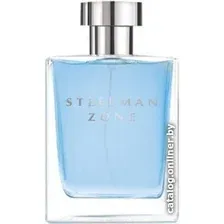 Туалетная вода Dilis Parfum Steelman Zone EdT 100 мл