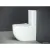 Унитаз напольный Ceramica Nova Ceramica Nova MIA CN1801
