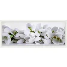 Картина Декарт Белые цветы крокусы 8Л0554