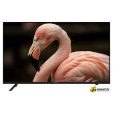 Телевизор Topdevice 43'' WILDRED TDWC43BF2110V