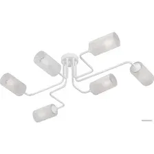 Припотолочная люстра Vitaluce V4310 V4310-0/6PL