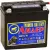 Мотоциклетный аккумулятор Tyumen Battery Лидер 6МТС-10 (10 А·ч)