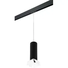 Трековый светильник Lightstar Rullo PRORP6497486