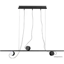 Подвесная люстра Odeon Light Nera 6600/21L
