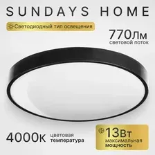 Припотолочная люстра Sundays Home LED 240924-13 5764 (черный)