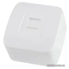 Розетка TDM Electric Дача SQ1824-0012