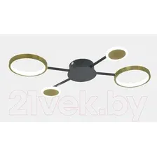 Потолочный светильник Mirastyle SX-20540-48 BKSGD