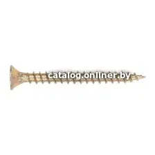 Шуруп РМЗ R4300070023