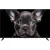 Телевизор Topdevice 50'' 4K OS SALUTE TV (черный)
